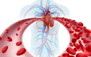 دراسة: السفر للفضاء قد يؤدي إلى تدمير أغشية خلايا الدم