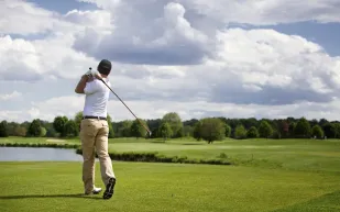 حيوانات تخرب ملعب غولف بأمريكا