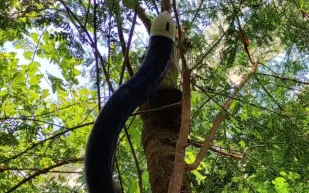 الكشف عن "FiloBot" .. روبوت قادر على بناء نفسه بشكل مستقل