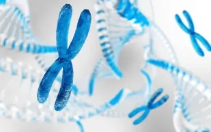 دراسة تكشف السبب وراء انتشار الذئبة الحمراء في النساء أكثر من الرجال