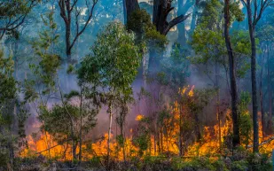 اندلاع النيران في مساحات كبيرة من لبنان وسط عمليات إجلاء للسكان