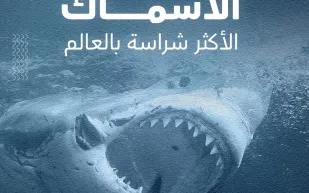 الأسماك الأكثر شراسة بالعالم