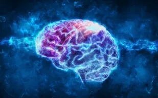 إنجاز علمي يبشر بعلاجات ثورية لفقدان الذاكرة