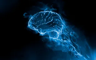 ماذا يفعل العقل في وقت الراحة؟.. دراسة جديدة تُجيب