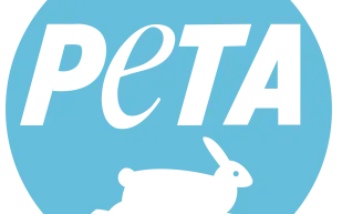 نشطاء حقوق الحيوان يقتحمون عرض أزياء في باريس بسبب استخدام الجلود! 