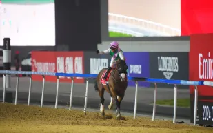 الجواد "لوريل ريفر" يهدي السعودية كأس دبي العالمية للخيول