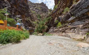 مهرجان "صبيا للتسوق والترفيه" يواصل فعالياته خلال شهر رمضان