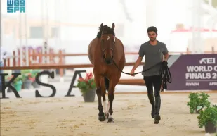 فرسان العالم يبدأون تدريباتهم في مونديال قفز الحواجز والترويض بالسعودية