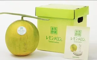 بطيخ الليمون.. فاكهة جديدة تجمع بين حلاوة الصيف وطعم الحموضة (فيديو)