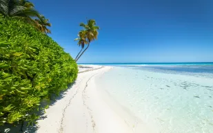 إنقاذ 3 بحارة من الموت المحقق في جزيرة نائية بسبب "كلمة واحدة"!