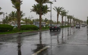 مقارنة بـ 30 عامًا مضت.. ارتفاع كمية الأمطار في السعودية بنسبة 70%