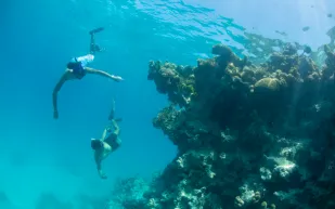 الهيئة السعودية للسياحة تستعد لبرنامج "صيف السعودية" بالمشاركة في "سوق السفر العربي" بدبي