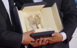 عام استثنائي في كان.. 3 جوائز ذهبية وتكريم استوديو جيبلي (فيديو)