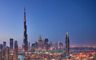 خدمة توصيل الصقور.. قريبًا في الإمارات والسعودية