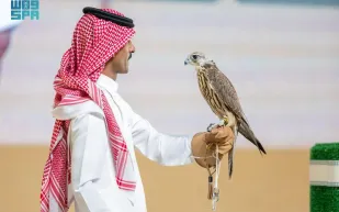 بيع صقرين بـ 170 ألف ريال في أول ليالي المزاد الدولي لمزارع إنتاج الصقور