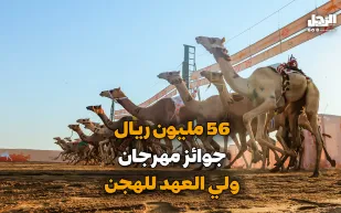 56 مليون ريال.. جوائز مهرجان ولي العهد للهجن (فيديوجراف)