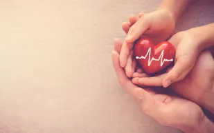 خريطة الحب في الدماغ.. دراسة تكشف أسرارًا جديدة