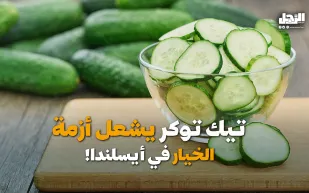  تيك توكر يشعل أزمة الخيار في أيسلندا! (فيديوجراف)