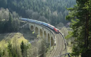 شاهد| حادث مروع لقطار يدهس مزارعا وبقرة