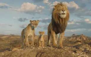 إيرادات شباك التذاكر السعودي في الأسبوع الثالث من ديسمبر 