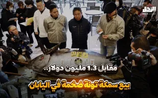 مقابل 1.3 مليون دولار.. بيع سمكة تونة ضخمة في اليابان (فيديوجراف)