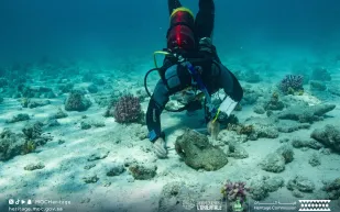 هيئة التراث تطلق المرحلة الثانية لتوثيق مواقع التراث المغمور في البحر الأحمر