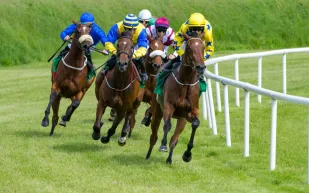 أرقى أندية الفروسية بالشرق الأوسط.. فخامة تحتضن أصالة الخيل