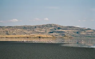 من الجمال إلى الخطر.. أسرار بحيرة ناترون السامة في تنزانيا