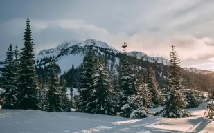 "ويسلر".. ملاذ الاسترخاء الساحر وجنة الرياضات الشتوية