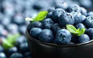 الأطعمة الخارقة.. فوائد التوت الأزرق على مائدة رمضان