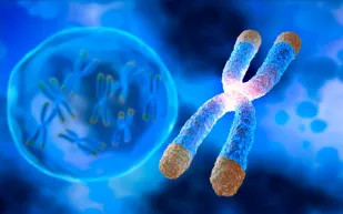 علماء يبتكرون روبوتًا صغيرًا يمكنه إجراء مسوحات ثلاثية الأبعاد داخل الجسم