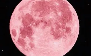 أصغر أقمار 2025.. القمر الوردي يربك مراقبي السماء بلونه