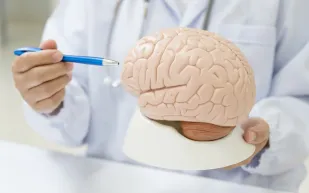 السكتة الدماغية: اكتشف أسبابها وكيف تقي نفسك منها بالتغذية؟