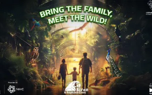 أسعار وطرق حجز تذاكر كهف الطيور والزواحف بموسم جدة..مغامرتك في قلب الطبيعة