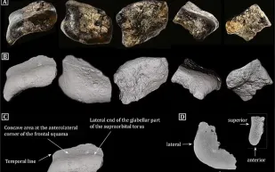 اكتشاف مدينة مدفونة عمرها 140 ألف عام!
