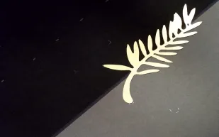 جدول فعاليات اليوم الاثنين 19 مايو 2025 في مهرجان كان السينمائي