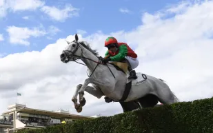 حادثة غير مسبوقة في مضمار Auteuil: فارس يتعلّق بحصانين بعد السقوط (فيديو)