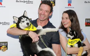  بين التحديات والضغوط المستمرة: هل ستصمد علاقة هيو جاكمان وسوتون فوستر؟