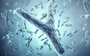 دراسة تكشف دور كروموسوم Y في شيخوخة الرجال وخطر الأمراض