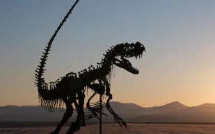 عرض هيكل ديناصور للبيع مقابل 6 ملايين دولار في مزاد مرتقب