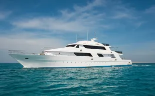 بين الإيجابيات والسلبيات: دليلك لاختيار نظام الدفع المثالي ليختك الفاخر