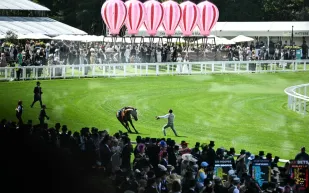 لحظة صادمة.. المهرة Harry’s Girl تفارق الحياة في سباق Royal Ascot
