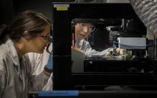 تقنية جديدة قد تعكس آثار الزمن: علماء يبتكرون مادة لإبطاء شيخوخة القلب