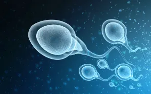 هل يؤثر عمر الرجل على نجاح الحمل؟ نتائج صادمة في دراسة جديدة