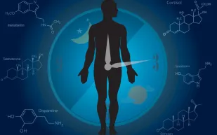 دراسة حديثة تربط سرعة القذف بخلل في نشاط الدماغ والأنظمة العصبية