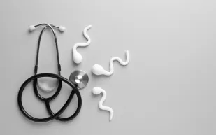 من رحم الأنبوب.. هل ينجح الطب في استنساخ خصوبة الرجل؟