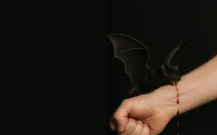 فيروس نادر يفتك بضحاياه من جديد: ثالث وفاة بشرية منذ 1996