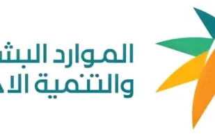 وزارة الموارد البشرية تُحدّد فئات تصنيف رخص العمل للعمالة غير السعودية