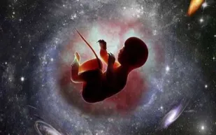 هل يمكن ولادة طفل في الفضاء؟ دراسة علمية تكشف مفاجآت غير متوقعة