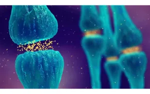 دراسة جديدة تعيد رسم خريطة الدوبامين في الدماغ